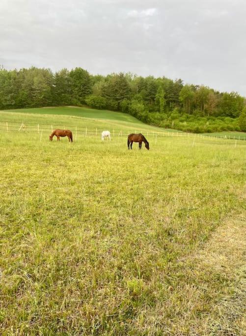 Appartamento In Cascina -La Cascinetta Di Ali- Roatto Luaran gambar