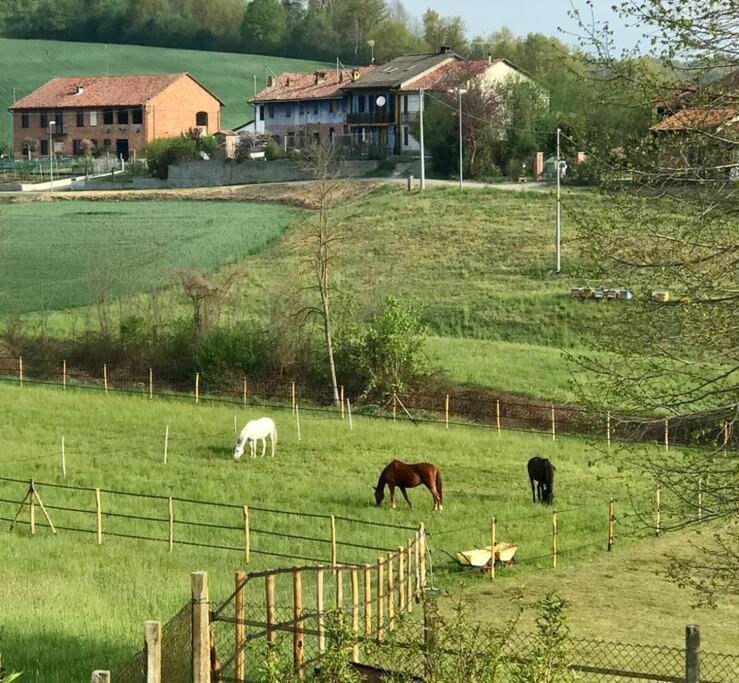 Appartamento In Cascina -La Cascinetta Di Ali- Roatto Luaran gambar