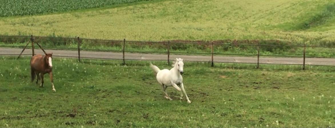 Appartamento In Cascina -La Cascinetta Di Ali- Roatto Luaran gambar