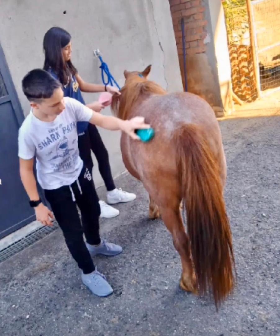 Appartamento In Cascina -La Cascinetta Di Ali- Roatto Luaran gambar